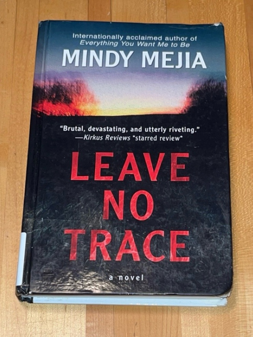 Leave No Trace by Mindy Mejia